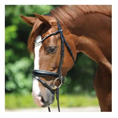 Riding bridles Kavalkade Grey