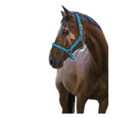 Halter for horse Norton Fluo