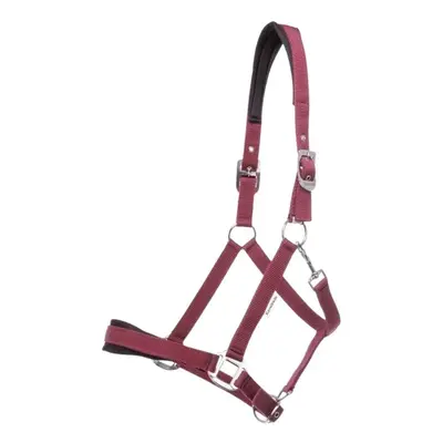 Halter for horse Kavalkade Perlon Classic-Simple