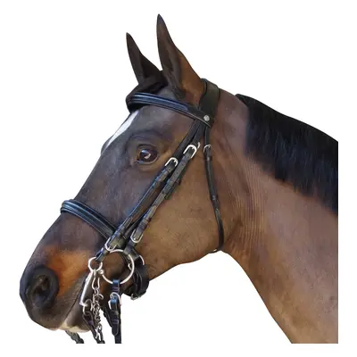 Riding bridles Canter Euro