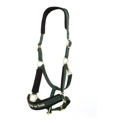 Halter for horse Back on Track Werano