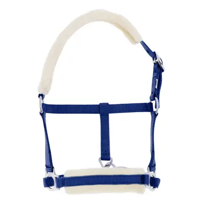 Halter for foal in synthetic sheepskin Riding World