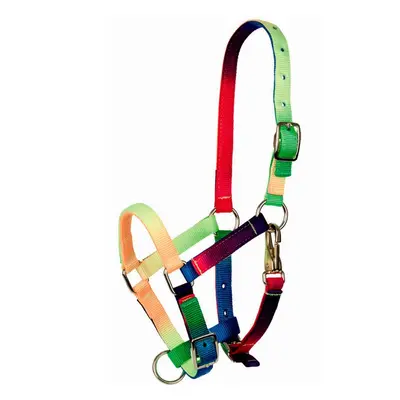 Halter for foal Tattini