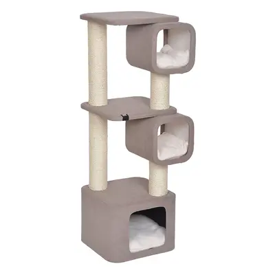 Cat Tree Ebi Akita