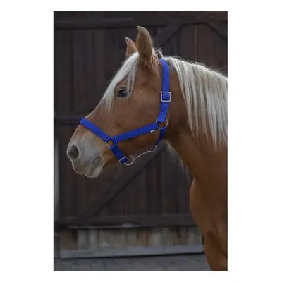 Halter for draft horse Norton Pro