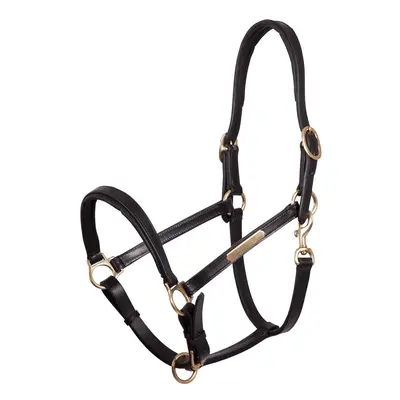 Leather halter for horses Premiere Equitation