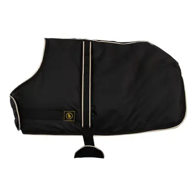 Outdoor horse blanket BR Equitation Classic 50g