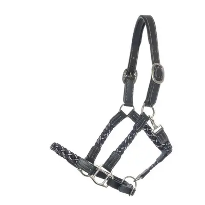 Braided horse halter Kavalkade Tessa