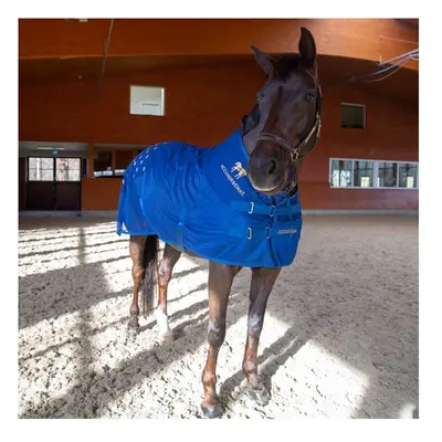 Acupressure mat for the back Accuhorsemat