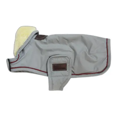 Waterproof dog coat Kentucky 160g