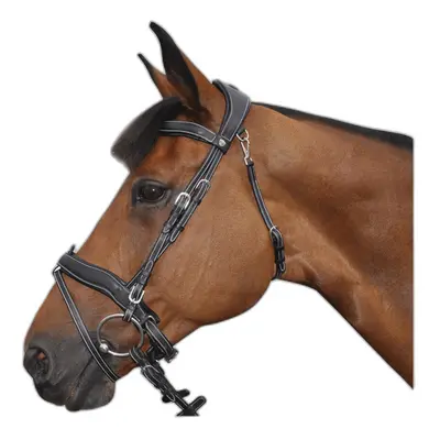 Combined riding bridles Flags&Cup Comfort