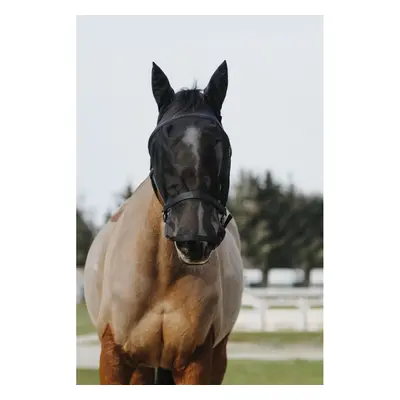 Horse halter and anti-fly mask Equithème