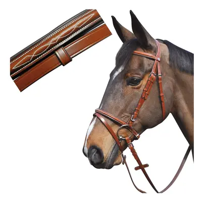 Denver combination riding bridles Lexington