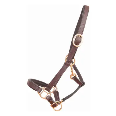 Leather horse halter for foal or mini horse T de T