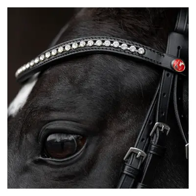 Riding Bridle + Noseband Kieffer Comfort Paris