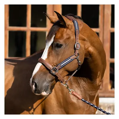 Halter for horse Antarès Stressless