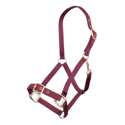 Polypropylene halter Premiere Equitation