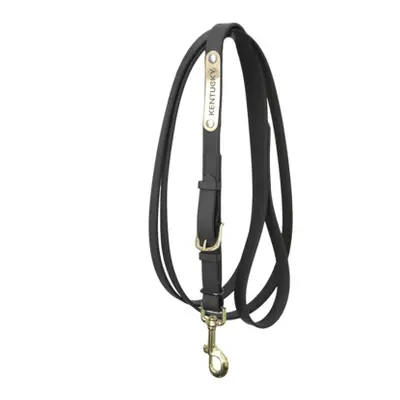 Presentation Horse Lead Rope Kentucky