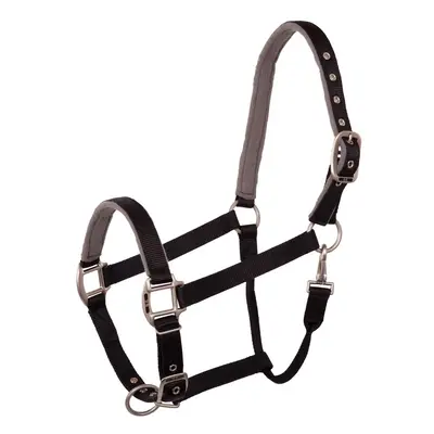 Halter for horse BR Equitation Event