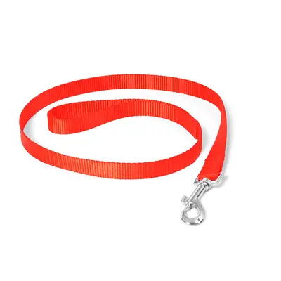 Nylon dog leash Duvoplus