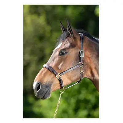 Leather halter for horse HFI