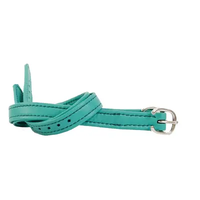 Leather spur straps T de T