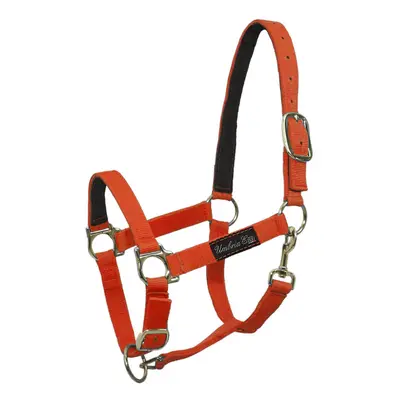 Nylon horse halter with leather reinforcement Umbria Equitazione