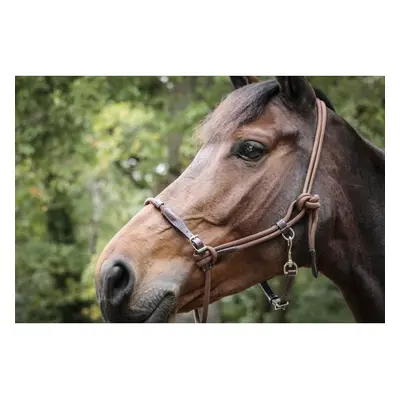 Leather halter for horse Pénélope Point Sellier