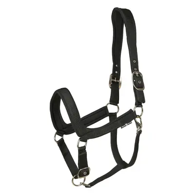 Anatomical horse halter HorseGuard