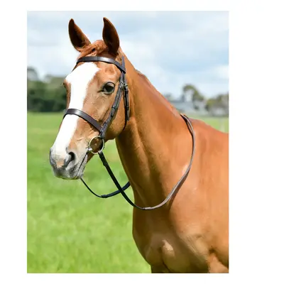 Hunting bridle with reins Kincade Classic