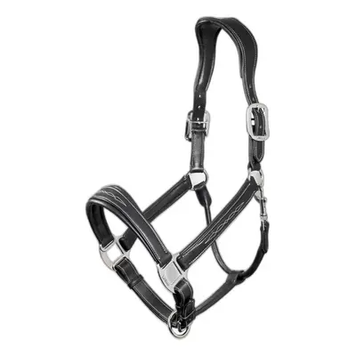 Leather halter for horse LeMieux Stitched Comfort