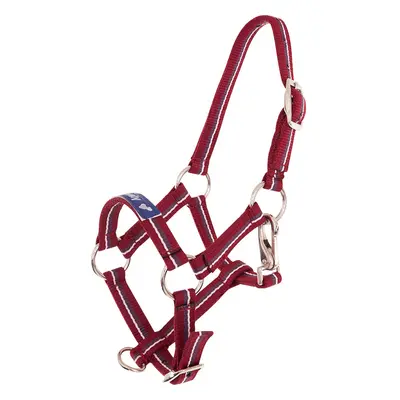 Halter for foal Premiere Equitation Fun