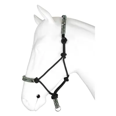 Halter for horse reins Horka