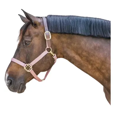 Halter for pony Kentucky Breakaway