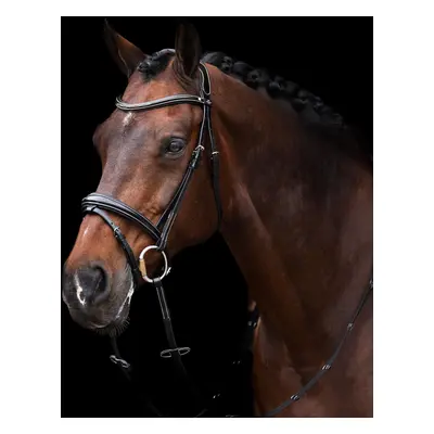 Riding Bridle + Noseband HV Polo Legacy