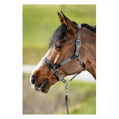 Halter for horse with reins in nylon HFI Neoprene Smart