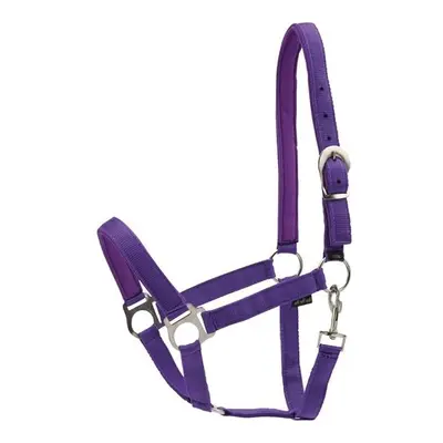 Nylon horse halter HorseGuard