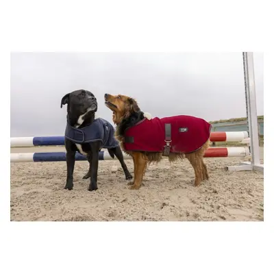 Nylon dog Blanket Diego & Louna Teddy