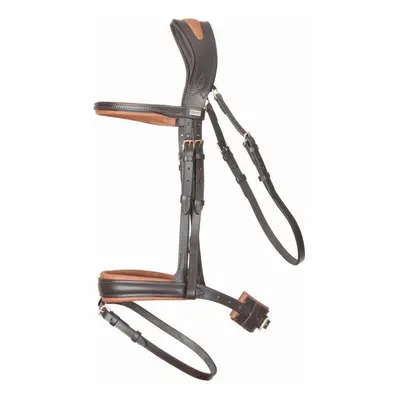 Bridles T de T Matisse