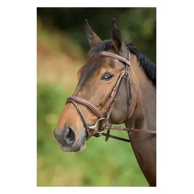 Riding bridles HFI Comfort