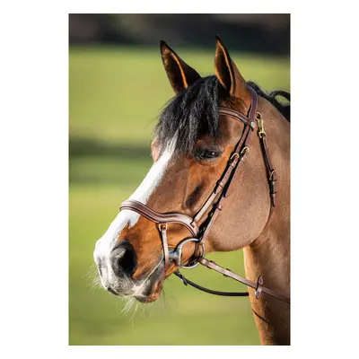 Riding bridles HFI Techno