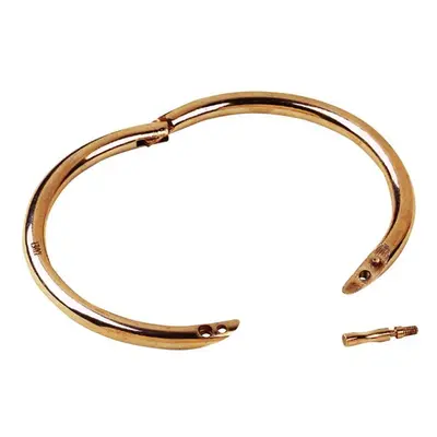 Brass bull ring Kamer