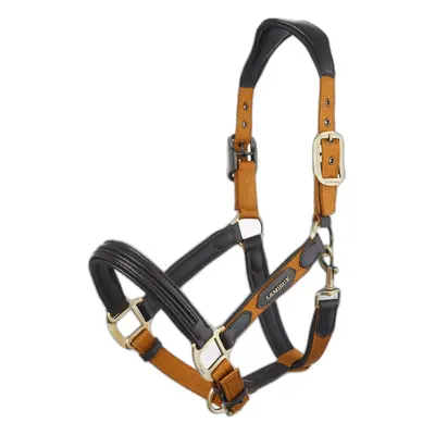 Halter for horse LeMieux Capella