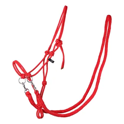 Halter for horse with reins QHP