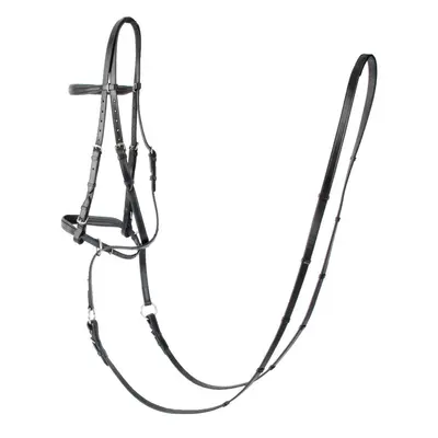 Bridles T de T Bitless