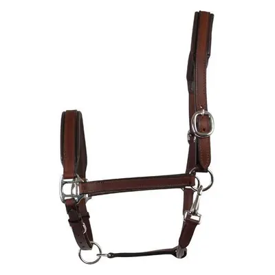 Leather halter for horses HorseGuard