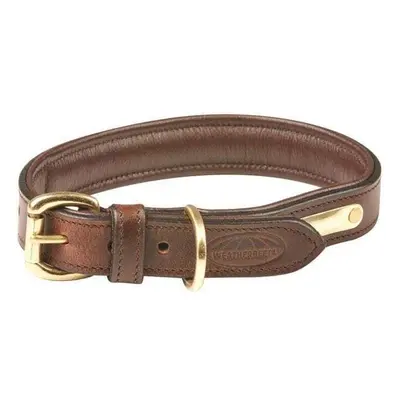 Padded leather dog collar Weatherbeeta