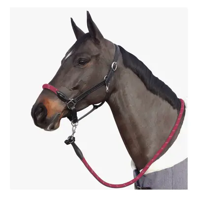 Rope halter with white buckles for horse Canter