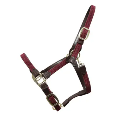 Halter for horse nylon braided Kentucky