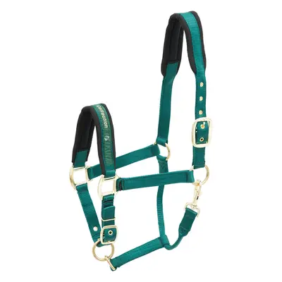 Nylon horse halter Kieffer Collection